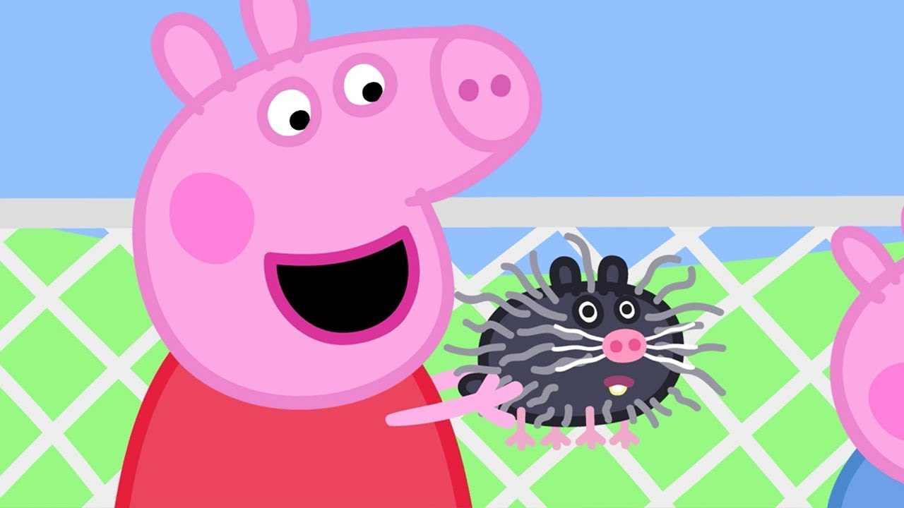Peppa Pig en Español Episodios completos 💛 LA TORTUGA DE LA DOCTORA HAMSTER | Pepa la cerdita