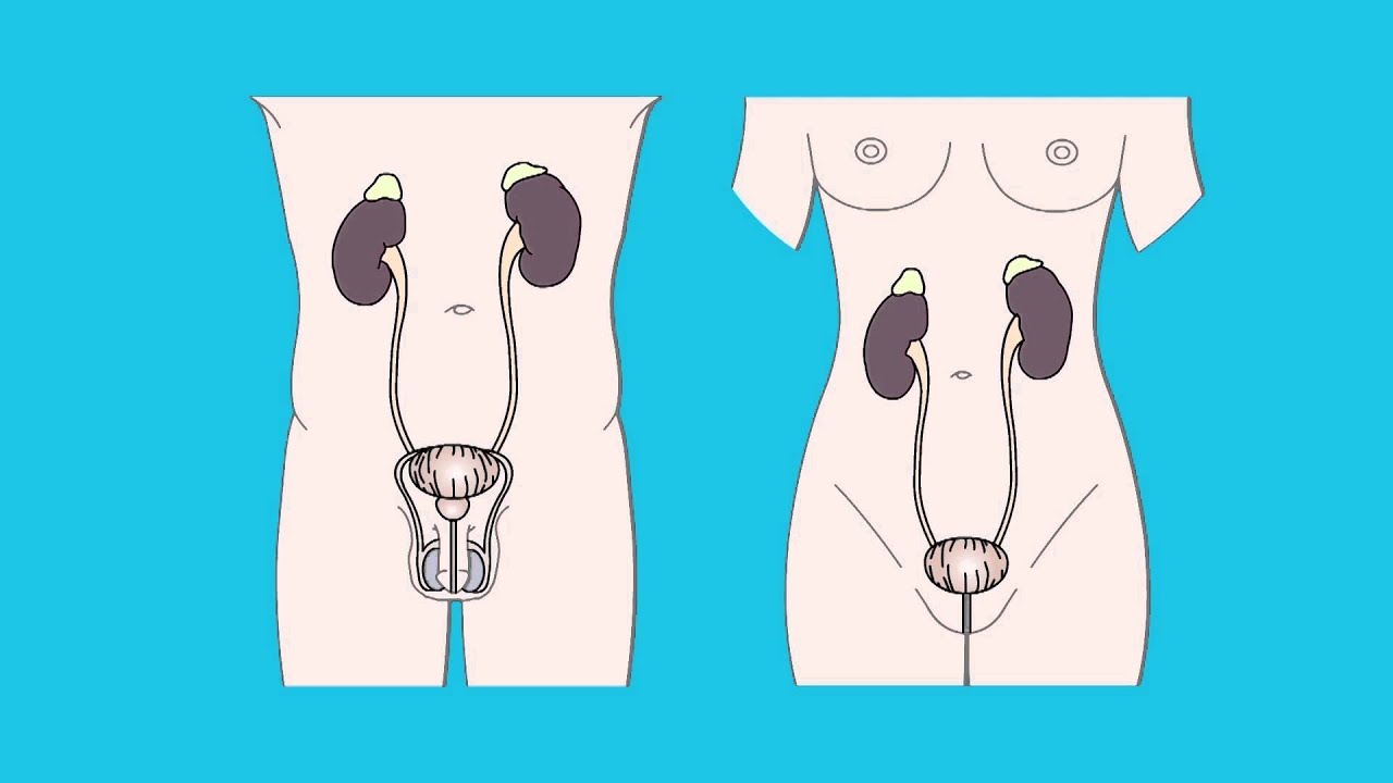 Having a cystoscopy | Cancer Research UK