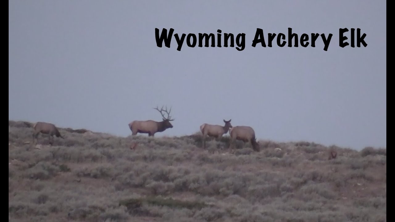 Wyoming Archery Elk