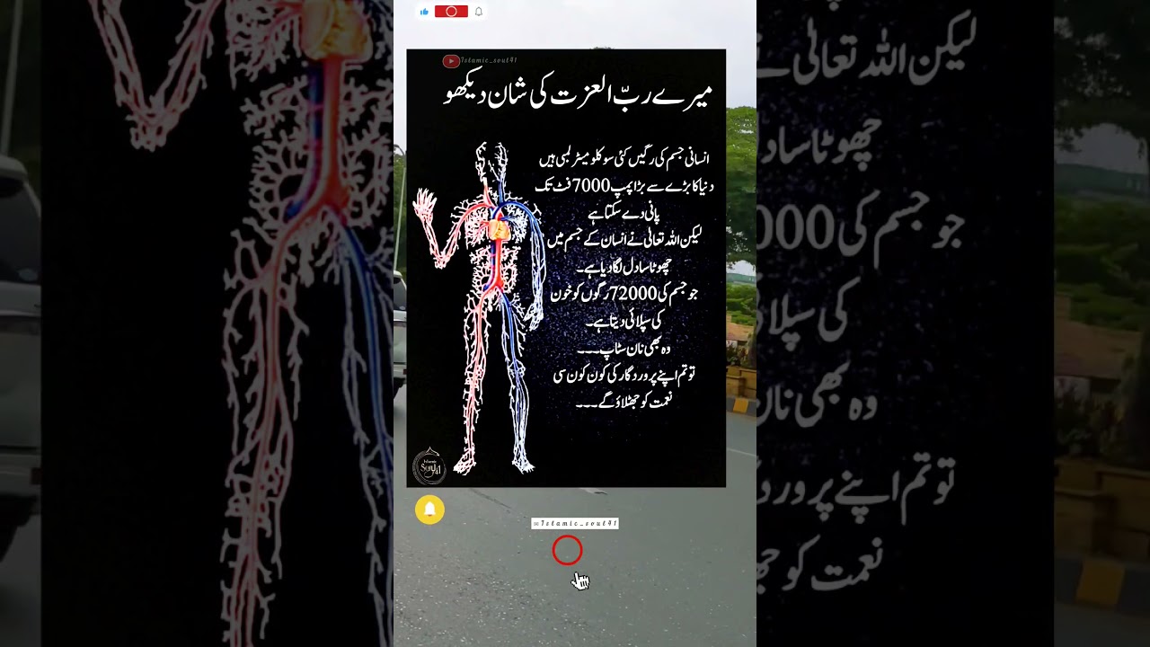 SUBHANALLAH ❤️&zwj;🩹|Islamic Shorts|Islamic Knowledge|Education Of Life #islamic #shorts #shortsfeed