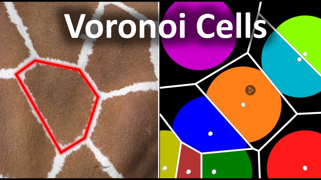 Почему этот узор встречается повсюду в природе || Узор клеток Вороного