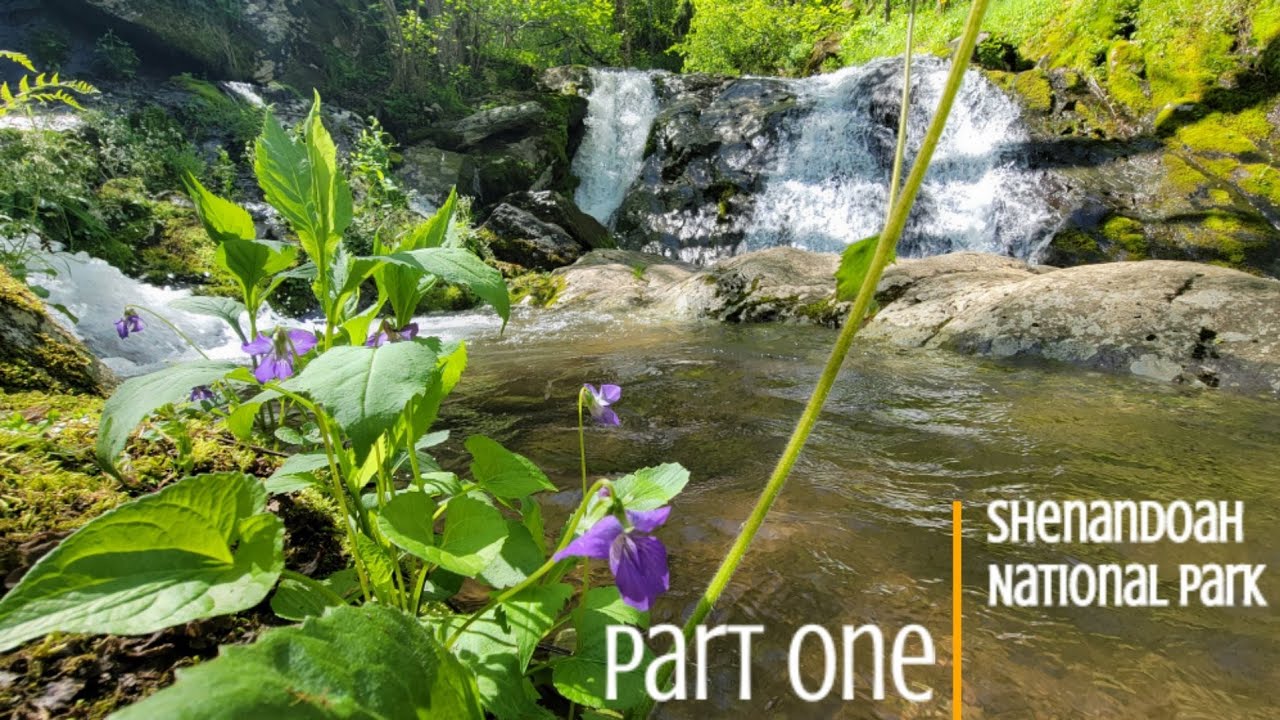 Part 1 of Backpacking 3 Days in Shenandoah NP - 2022 Appalachian Trail Shakedown Hike #6
