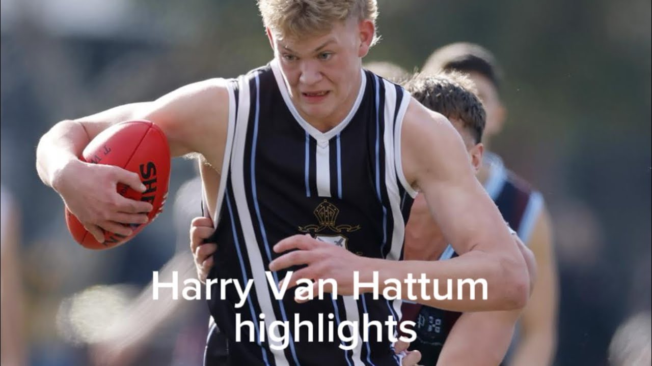 Harry Van Hattum- Coates League and all Australian Game Highlights