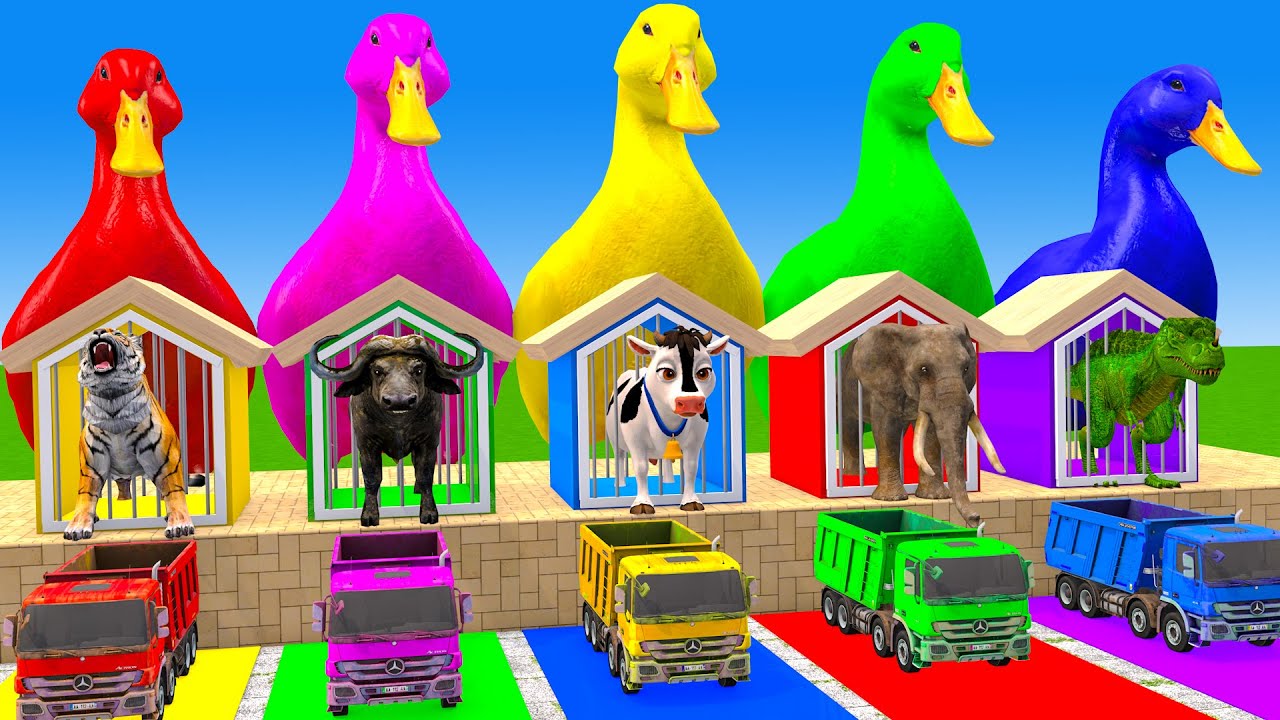 Long Slide Game With Cow Elephant Gorilla Hippopotamus Tiger 3d Animal Game Funny 3d Animals