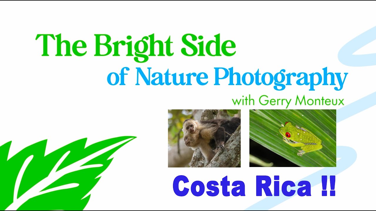 The Bright Side of Nature Photography - Costa Rica