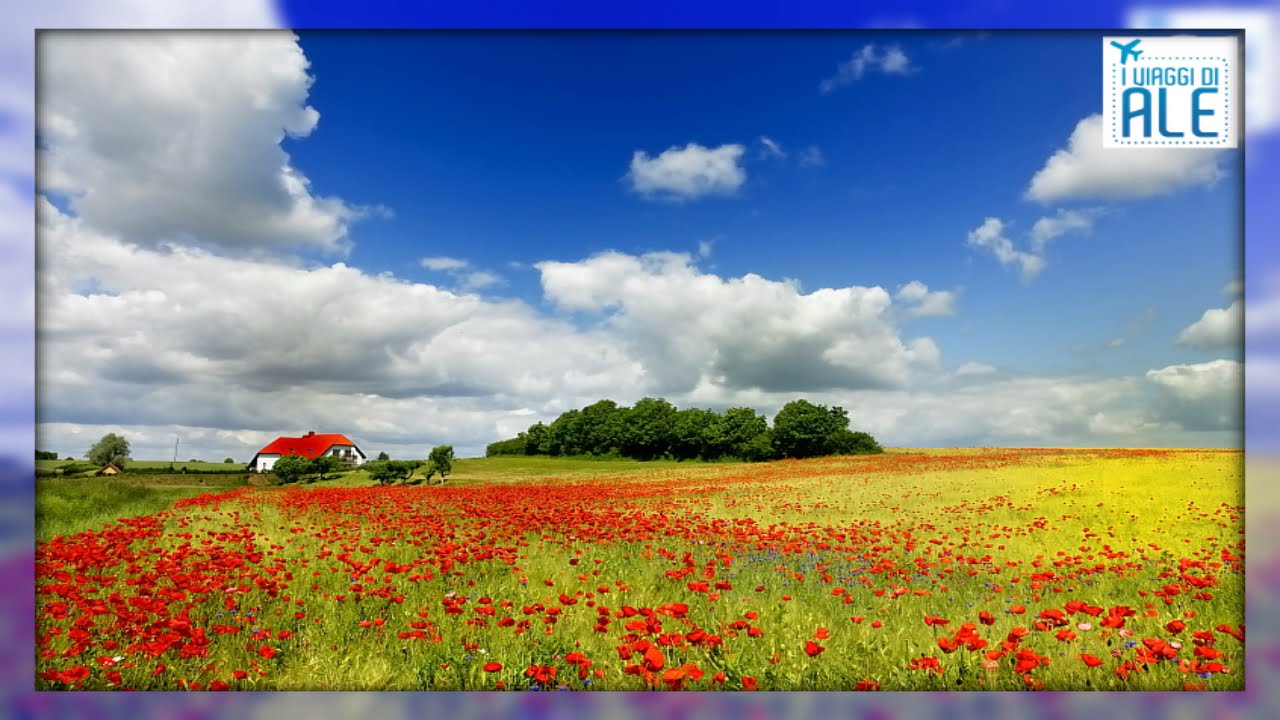 Polonia, documentario - Poland is beautiful, Musica