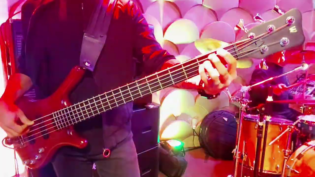 heartache tonight by eagles bass cover live
