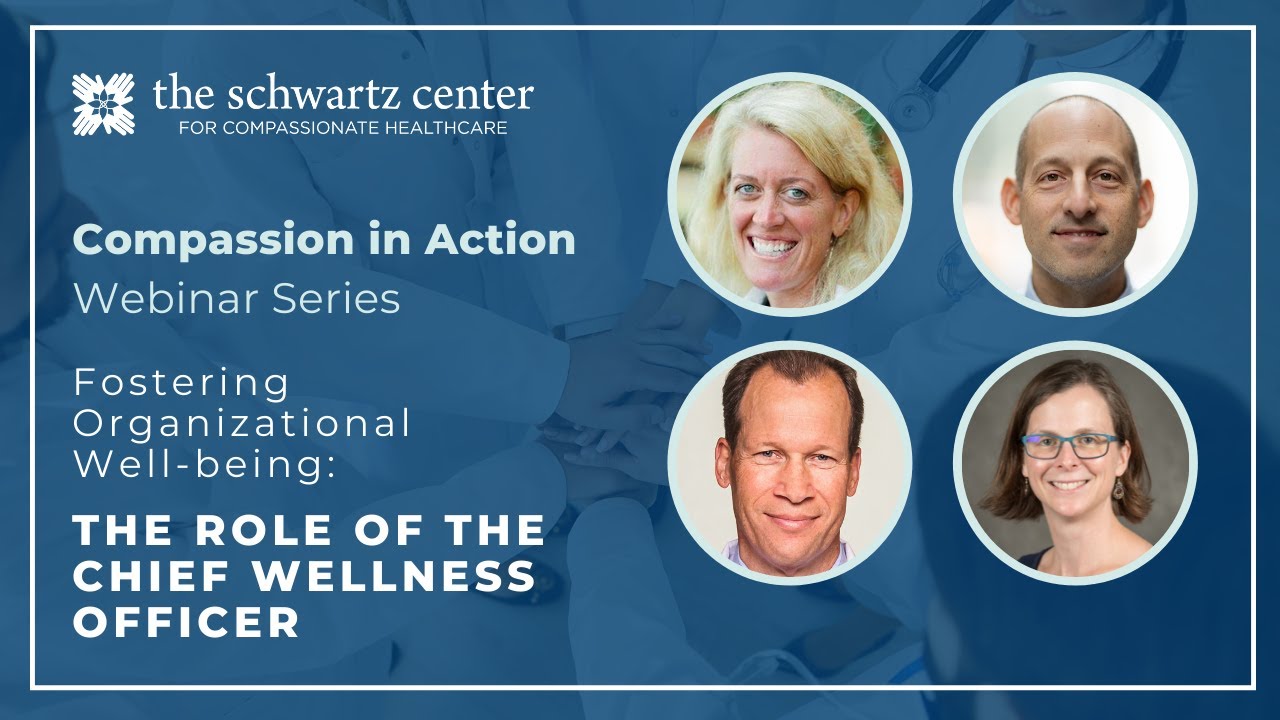 Fostering Organizational Well-being: The Role of the Chief Wellness Officer