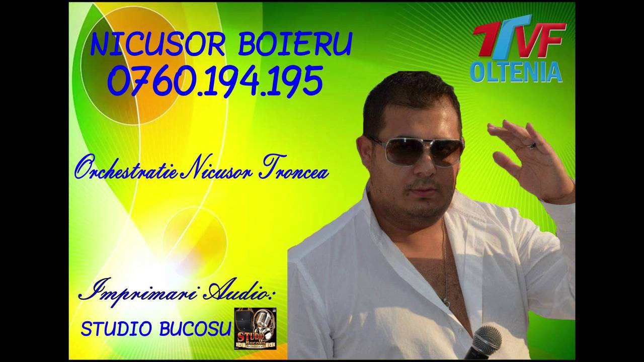 Nicusor Boieru - Canta turtureaua canta [oficial audio]
