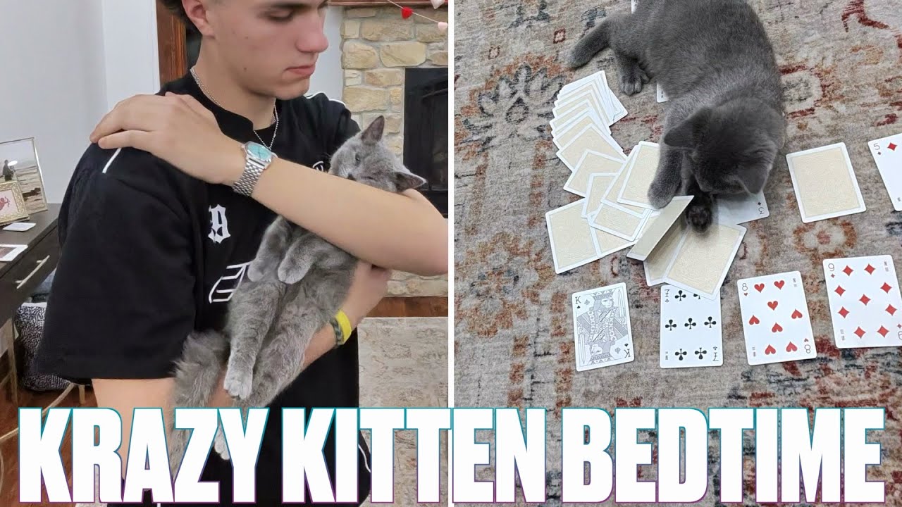 OUR NEW KITTEN'S CRAZY NIGHT TIME ROUTINE