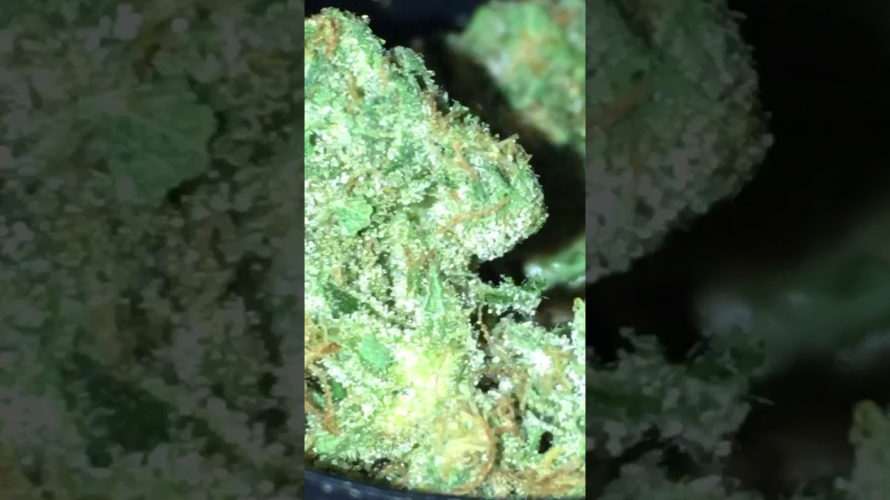 G6 JET fuel