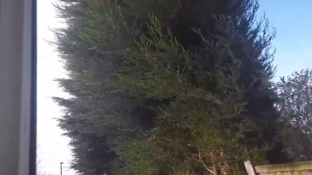 Heavy Wind blowing ASMR