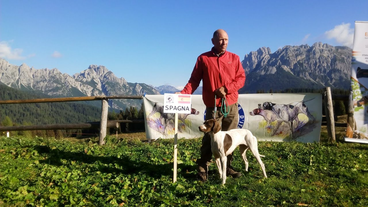 ADIESTRAMIENTO PERROS DE CAZA Y COMPETICION