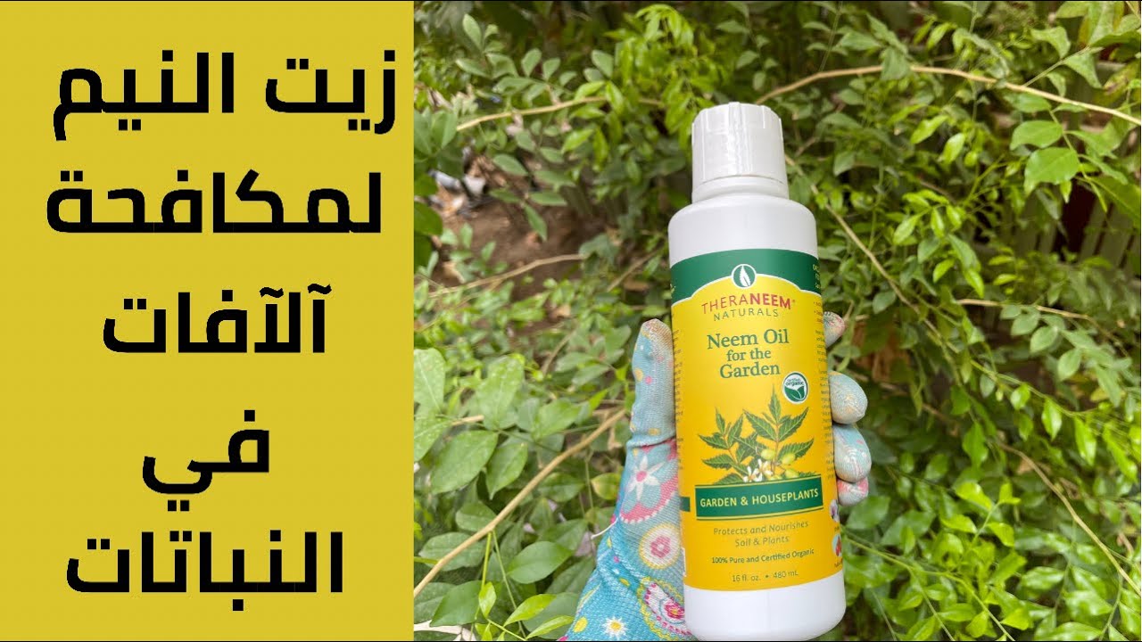 زيت النيم العضوي للنباتات☘️وفعاليته في القضاء على الآفات 🐛