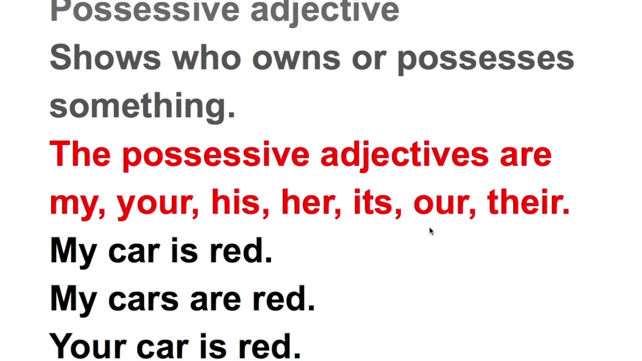 POSSESSIVE ADJECTIVE