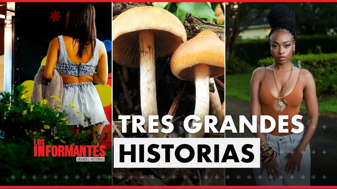 Cap&iacute;tulo Los Informantes: Explotaci&oacute;n sexual infantil, terapia con psicod&eacute;licos y el &eacute;xito de Goyo
