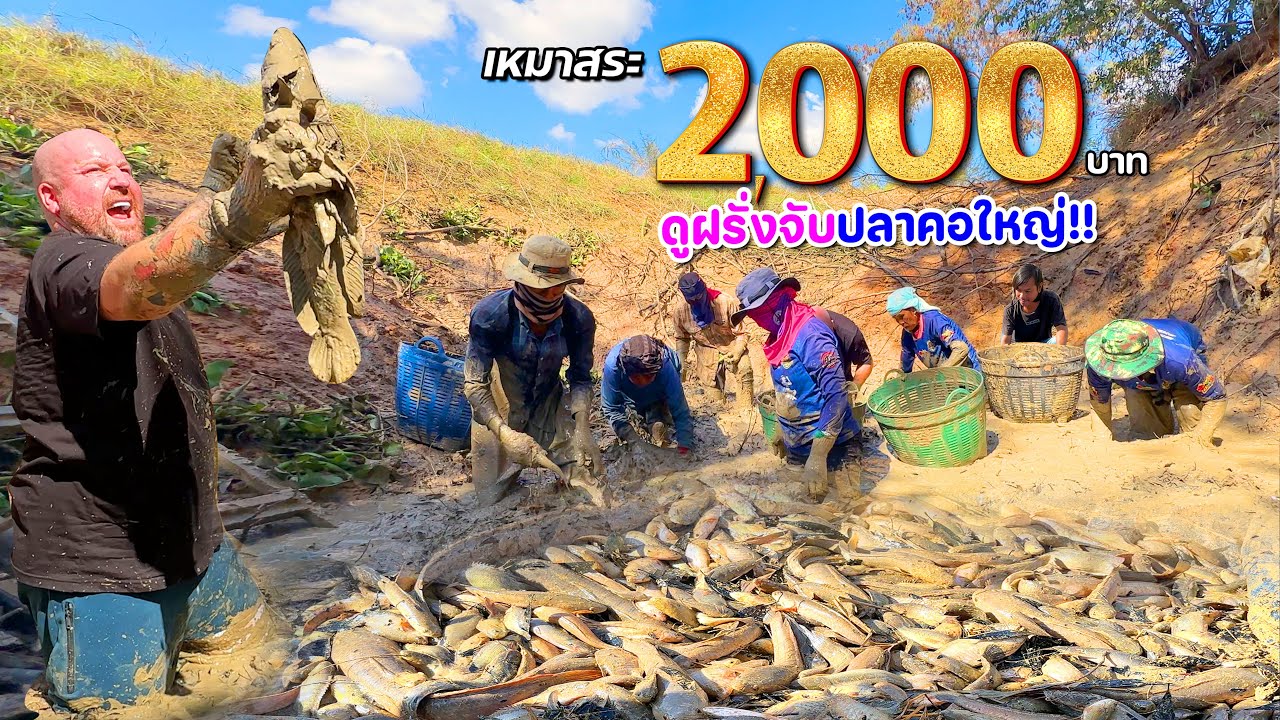 ทึ่งมาก!! เหมาสระ 2,000 บาท ฝรั่งบินตรงจากอังกฤษ มาแจมถึงบ่อ ลุ้นเจมส์จะไหวไหม? 31 ธันวาคม 2566