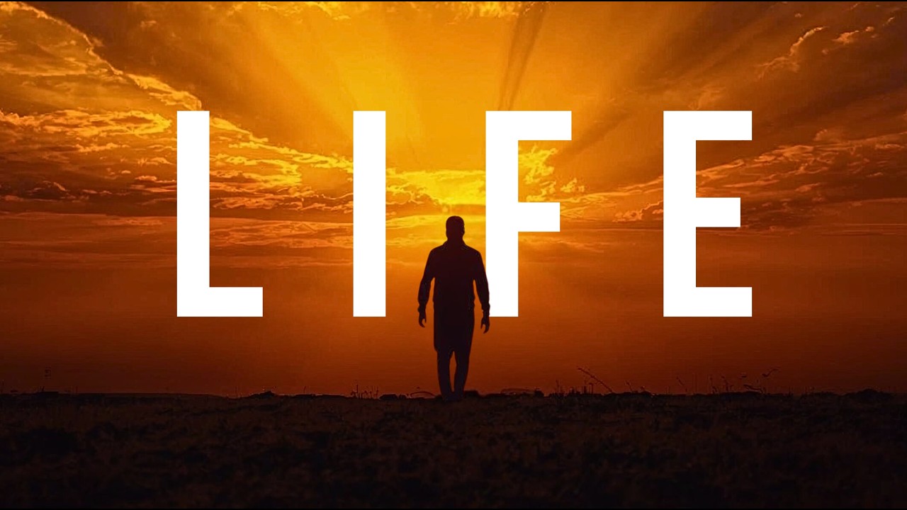 Life Doesn’t Come With Instructions