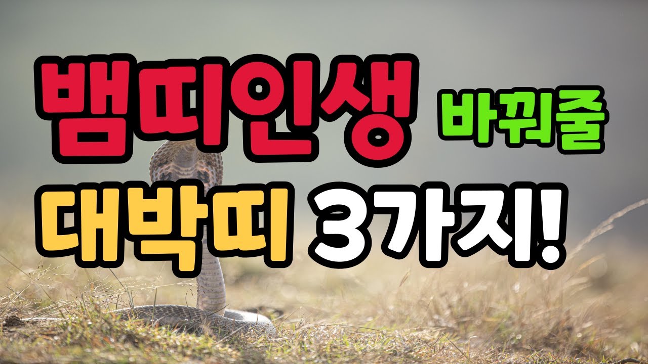뱀띠가 같이 살면 인생을 바꿔줄 3가지띠 #뱀띠운세 #뱀띠궁합