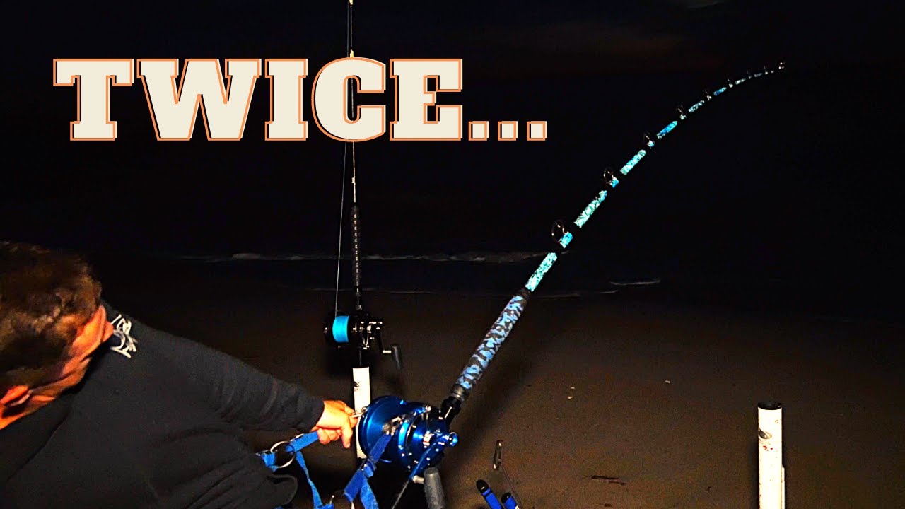 ALMOST SPOOLED!- South Florida Shark Fishing