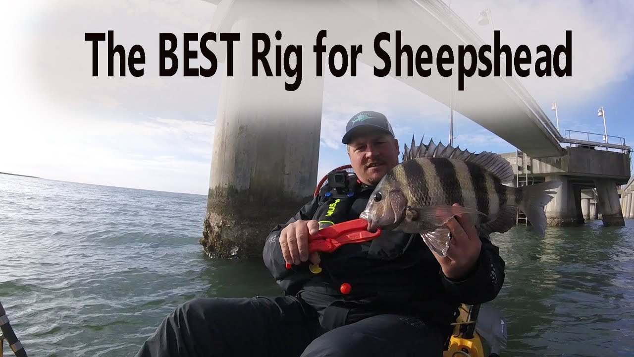 The BEST rig for Sheepshead (Quick Tip Tuesday #1)