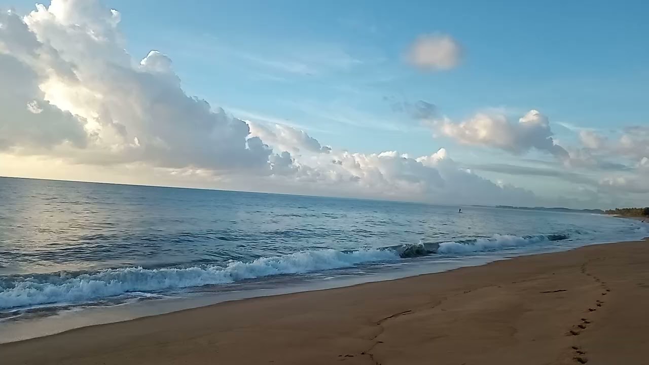O mar hoje está para peixe 🐟🇧🇷