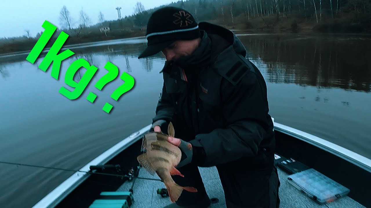 Ešeriai DINOZAURAI! Mariaus rekordas!!! Džig-rig didelių ešesrių sistema???