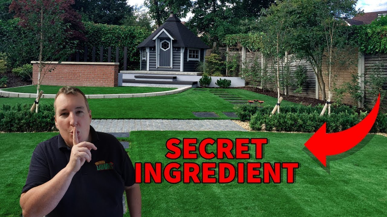 If you want to improve the perfect lawn do this ONE thing
