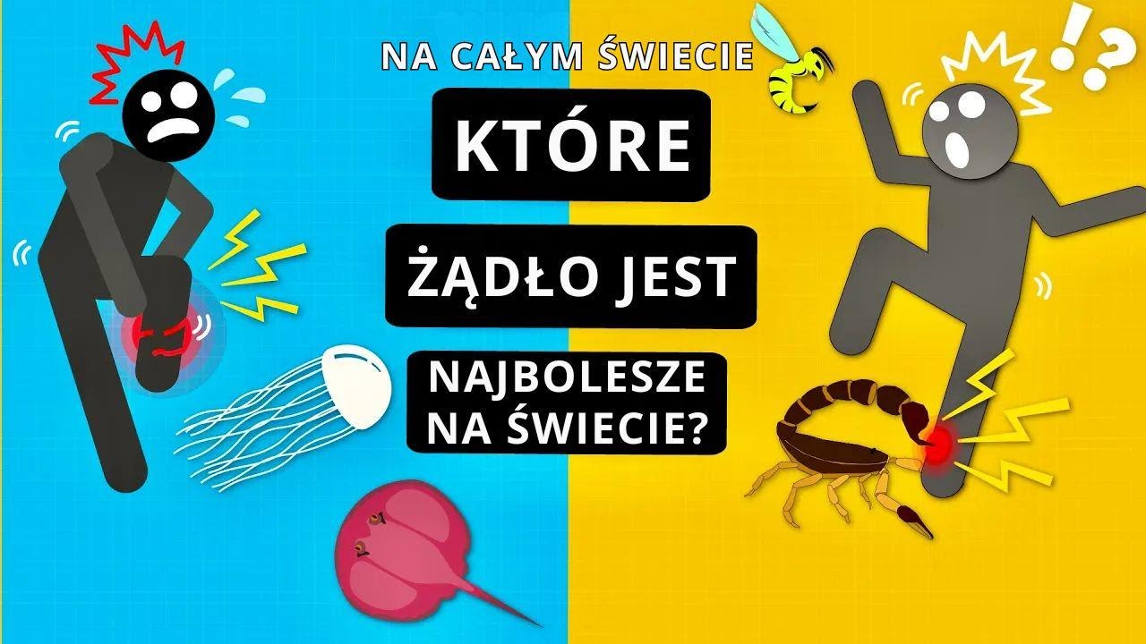Najbardziej bolesne ukąszenie, które da się przeżyć – obalamy mity!