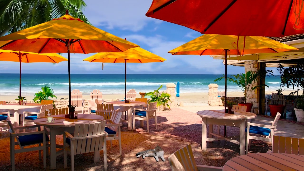Seaside Cafe Ambience - Bossa Nova Music, Smooth Jazz BGM, Ocean Wave Sound for Study & relax