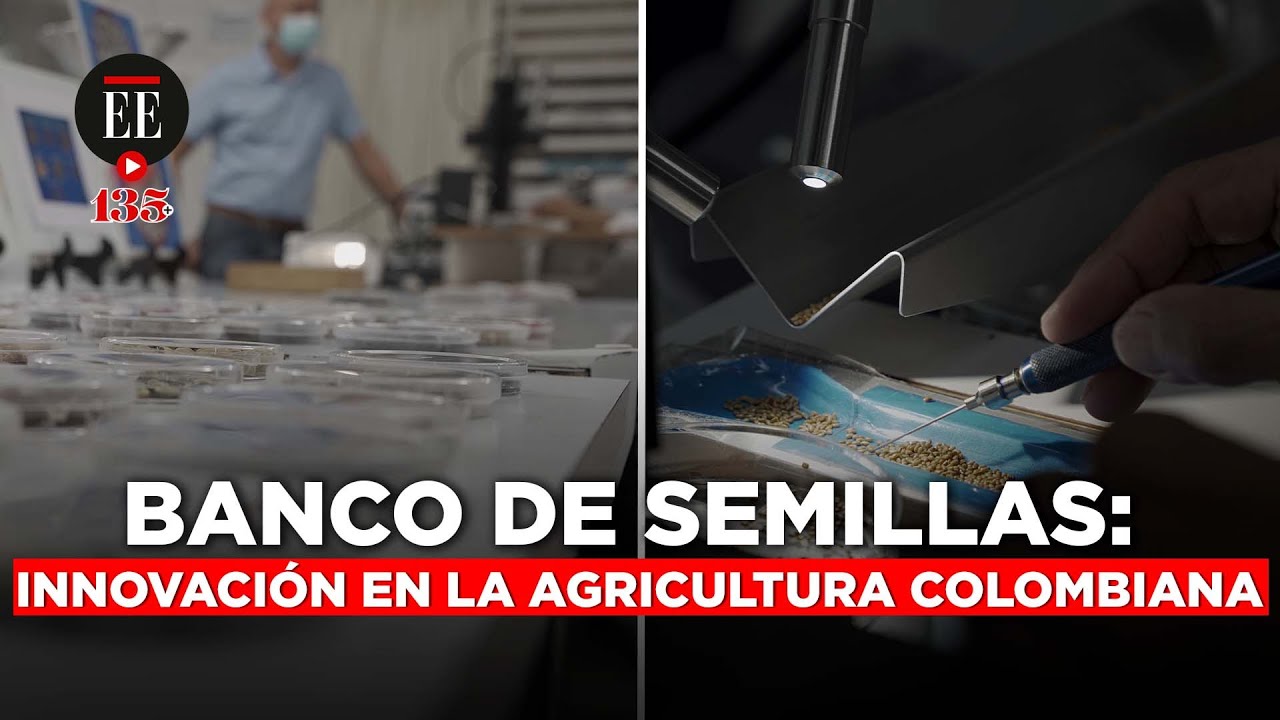 Semillas del Futuro: nueva opción de desarrollo para Colombia | El Espectador