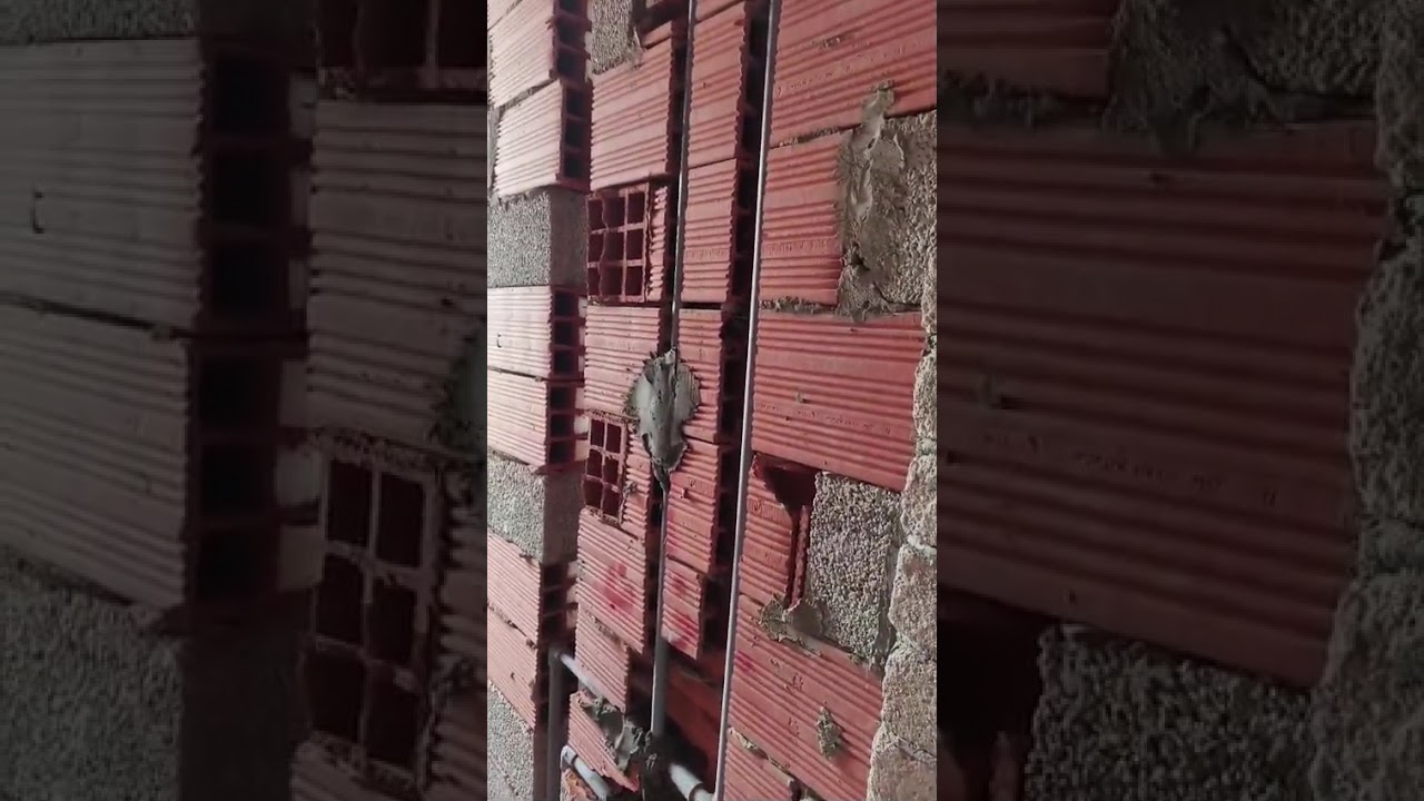 ٥ فبراير ٢٠٢٦