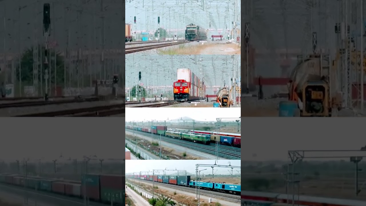 WAG 12 VS WDG 4G VS WAG 9 VS WDP 4D