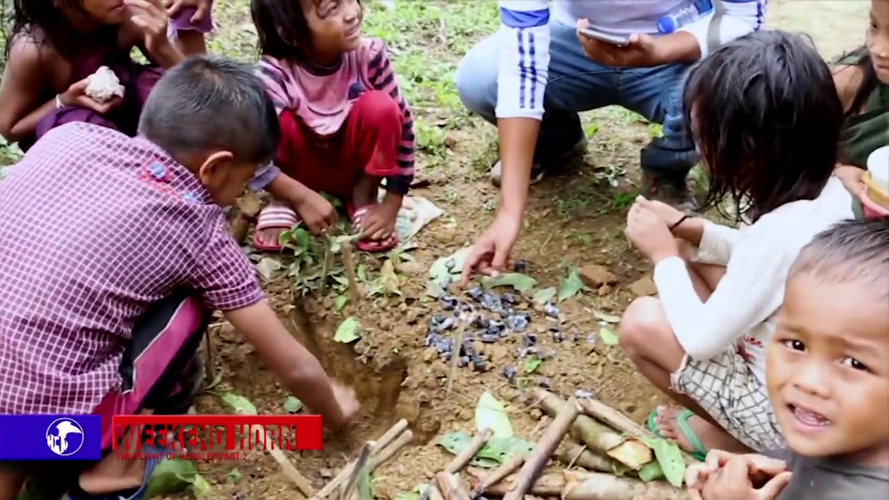 WEEKEND HORN The plight of Henglep Part 2
