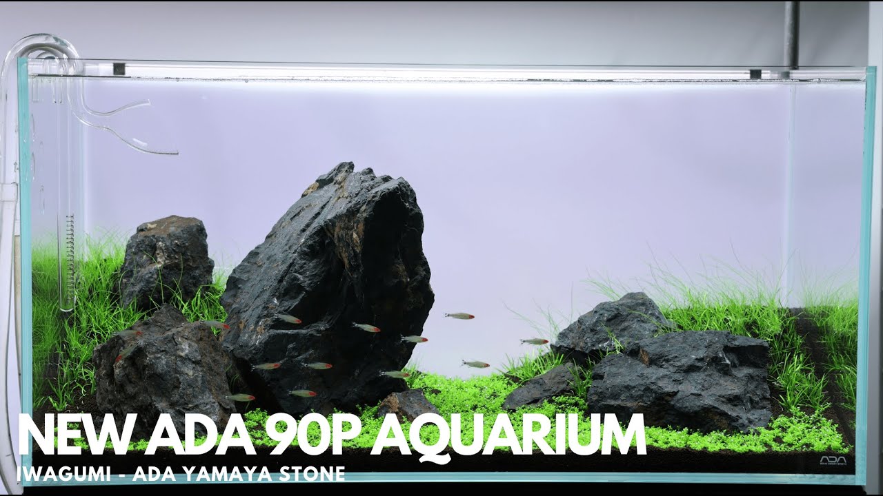 New ADA 90P Aquarium using Yamaya Stone