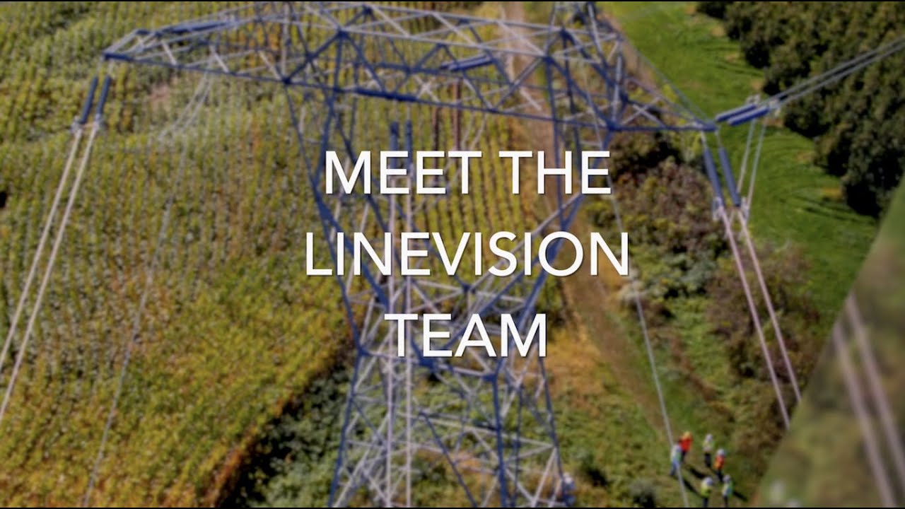 Meet the LineVision Team