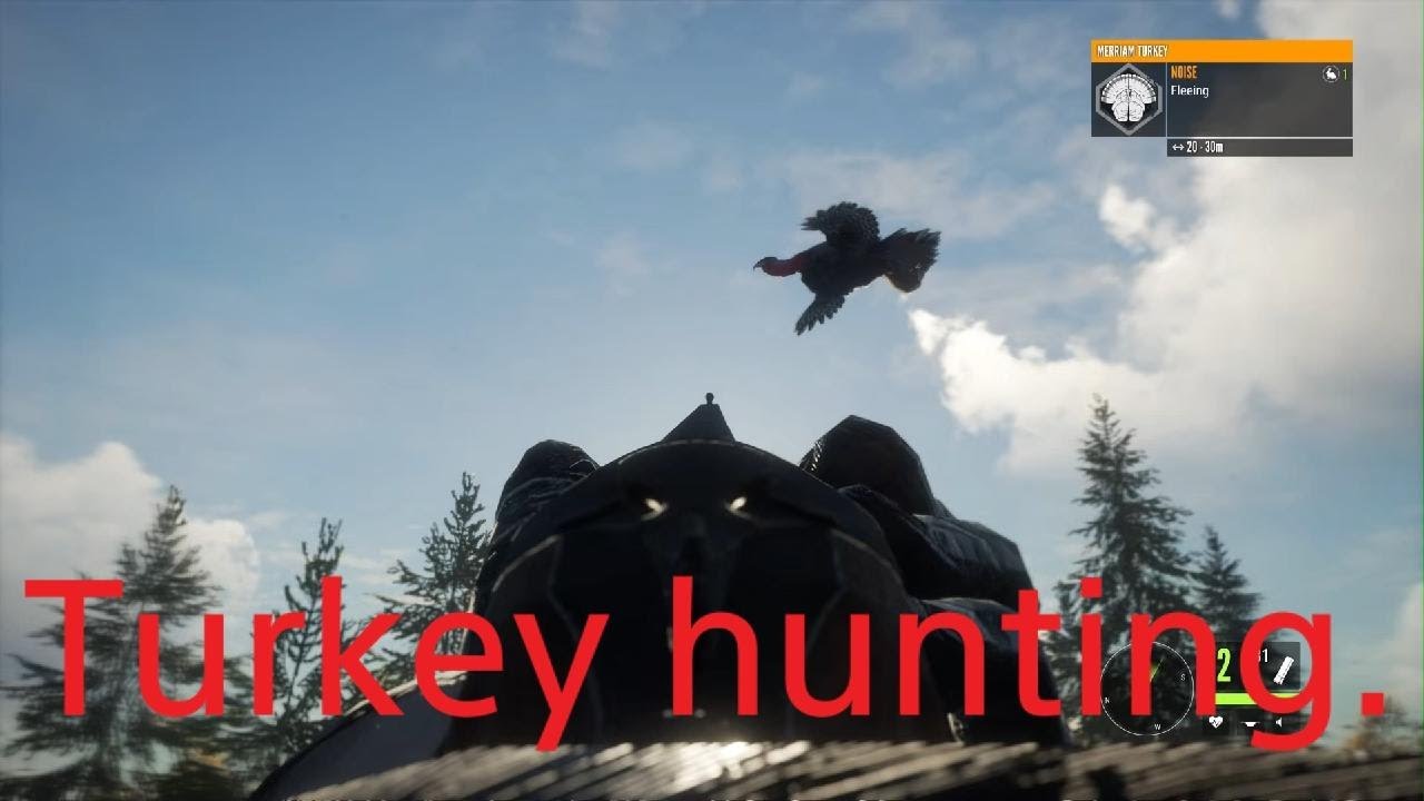 Turkey hunting.