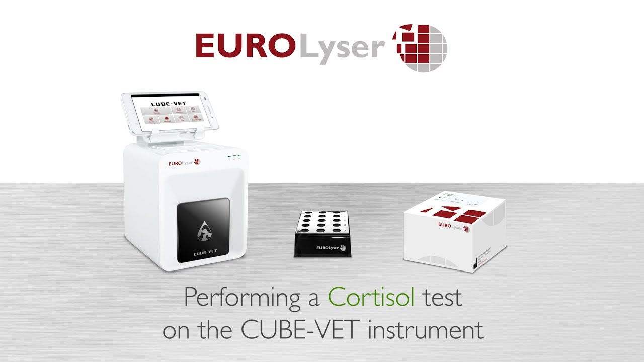Performing a Cortisol test on the EUROLyser CUBE-VET