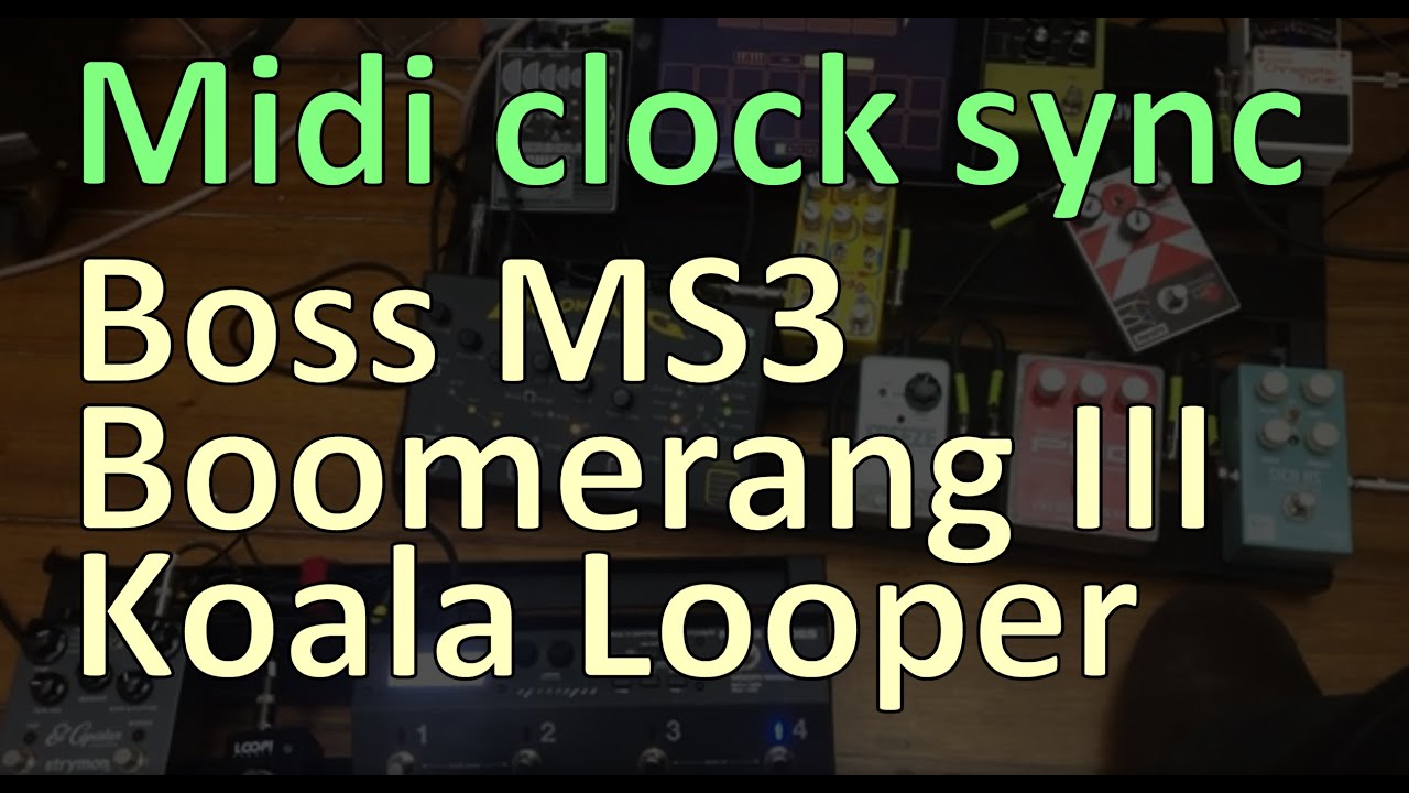 Midi clock sync - Boss MS3, Boomerang III, Koala Looper