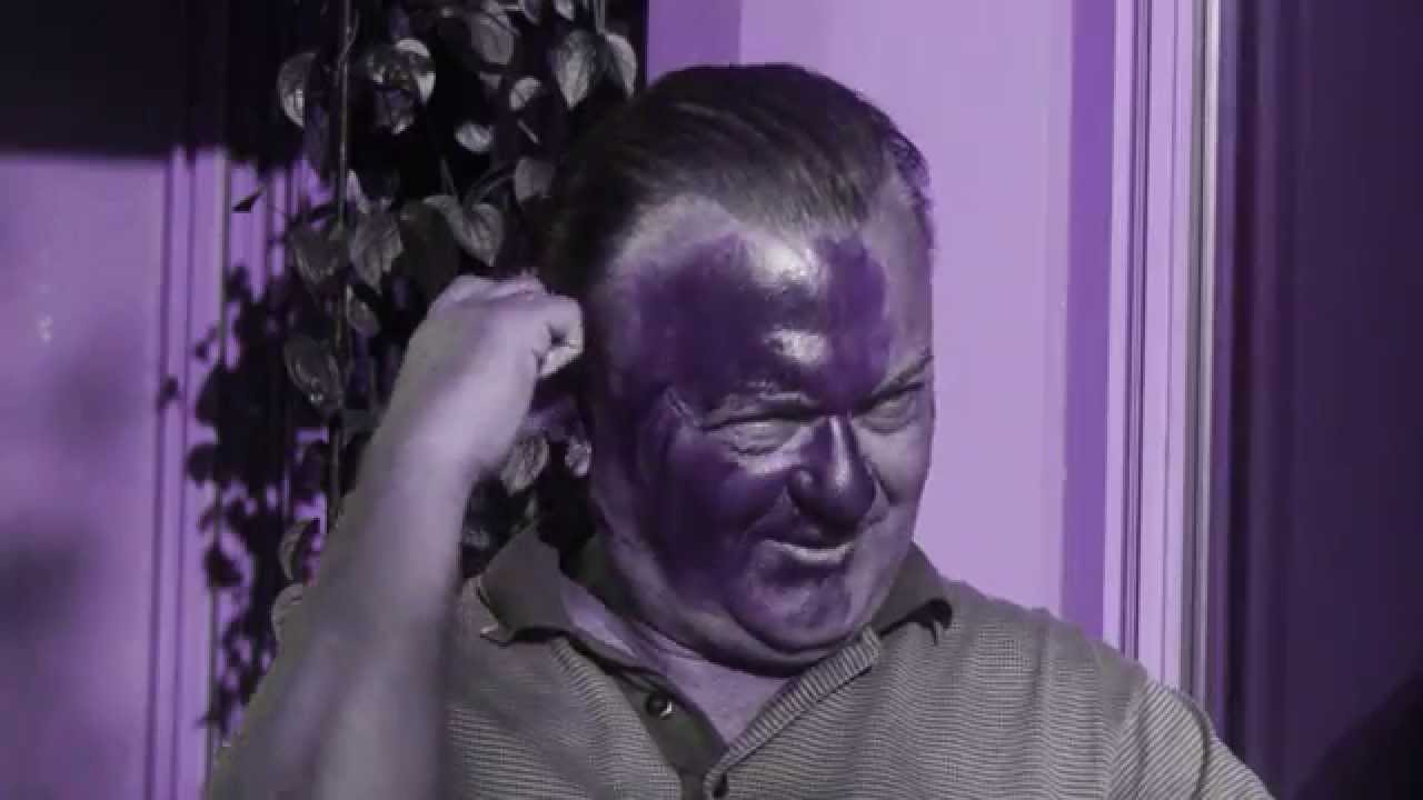How the bee sees you in UV