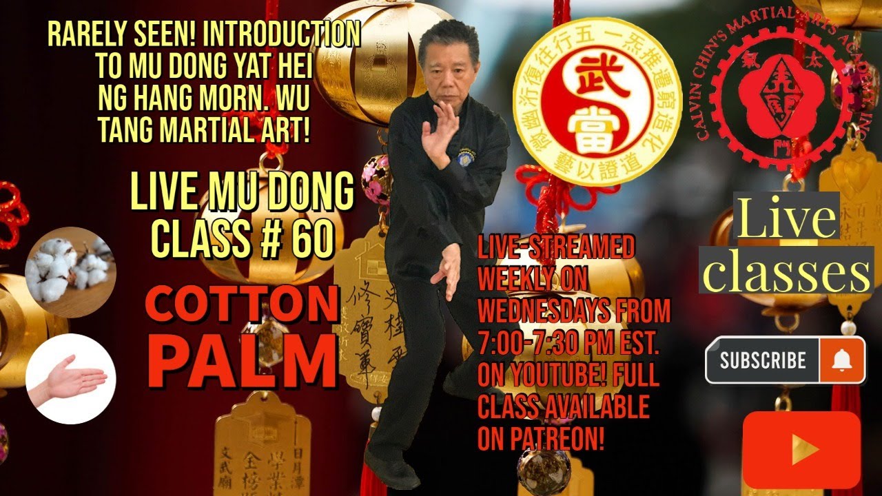 Mu Dong Yat Hei Ng Hang Morn Live wu tang martial art for our Patreon viewers