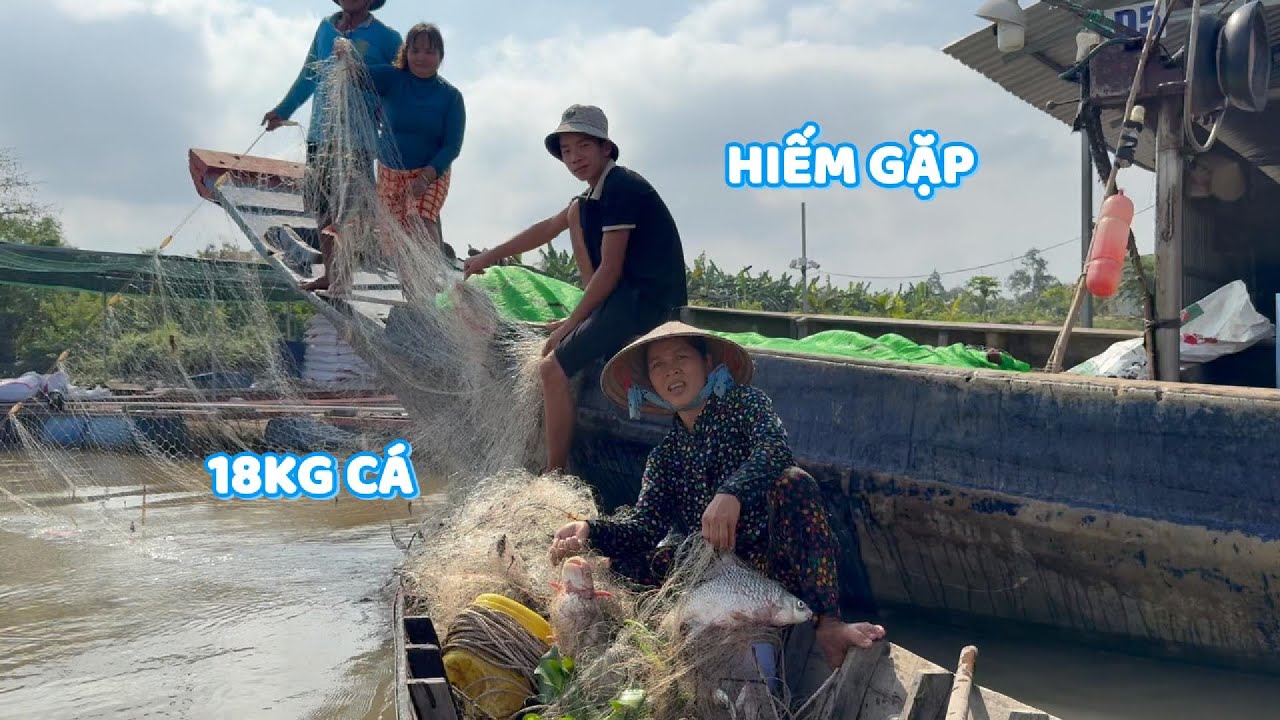Kéo không nổi lưới, kéo lên mới biết lý do dính 18kg cá #ngườiđồngtháp