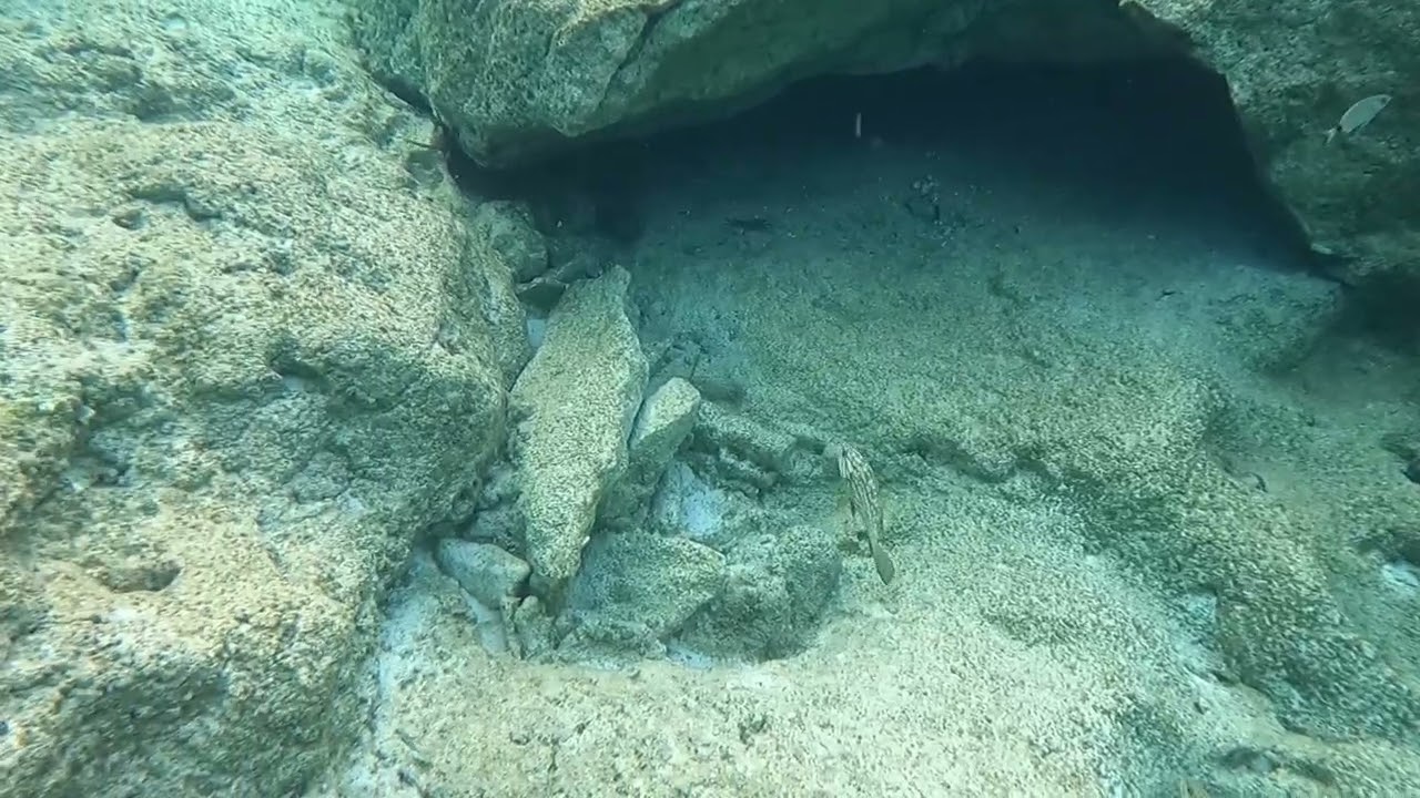 Diving in Egypt, Marsa Matrouh best Place #diving 