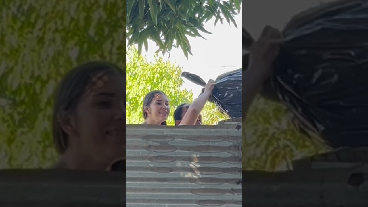 #reels #humor #viralvideo #viralvideo #broma