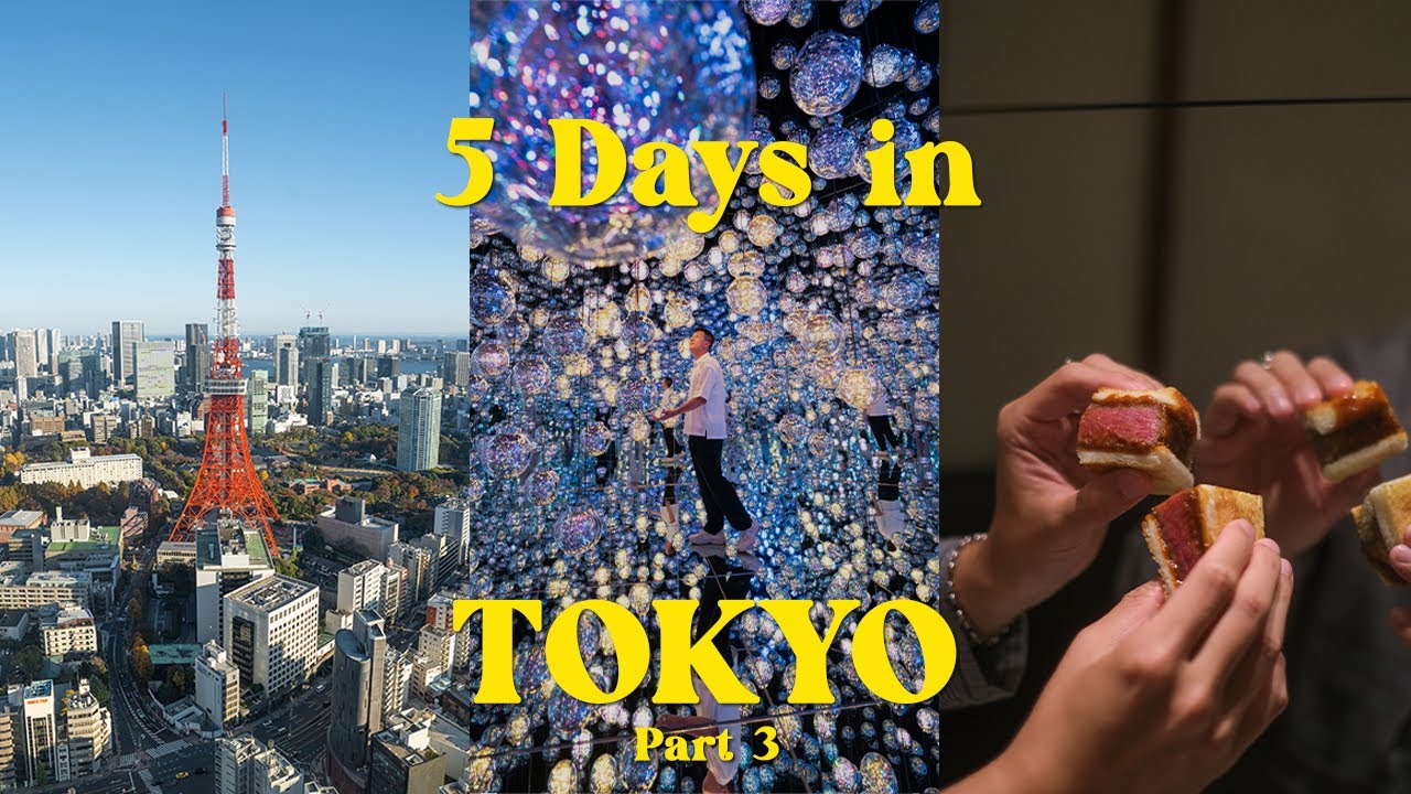 5 days in Tokyo 🇯🇵 東京 (teamlab borderless, best yakiniku, omakase) | part 3 | japan trip