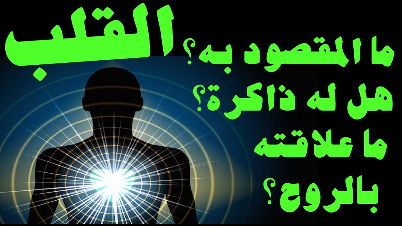 ما المقصود بالقلب؟ هل له ذاكرة؟ ما العلاقة بين القلب والعقل النفس والروح؟