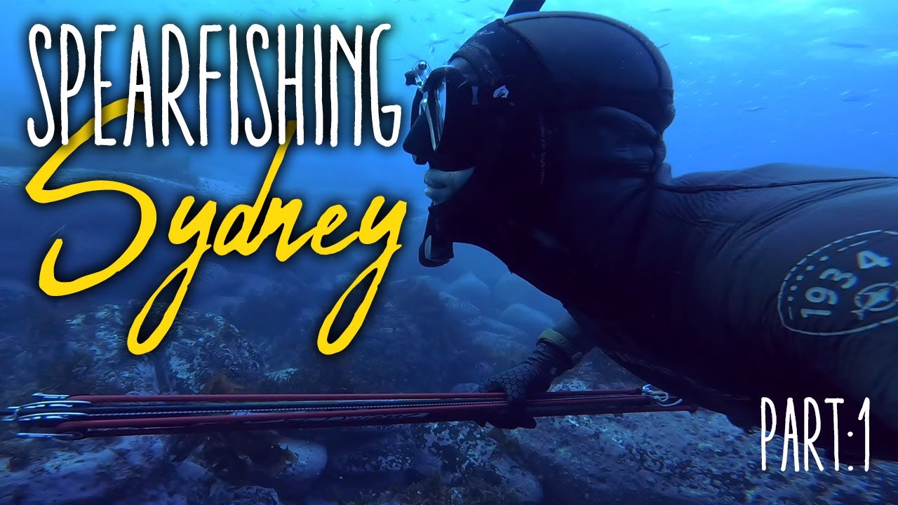 Spearfishing Sydney 2020