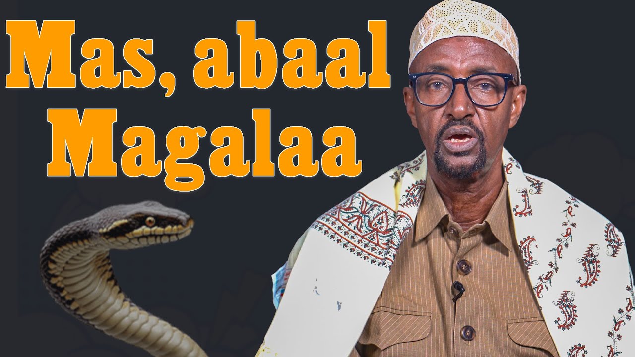 Sheeko Mas & Nin safar ah | Macallin Bashiir