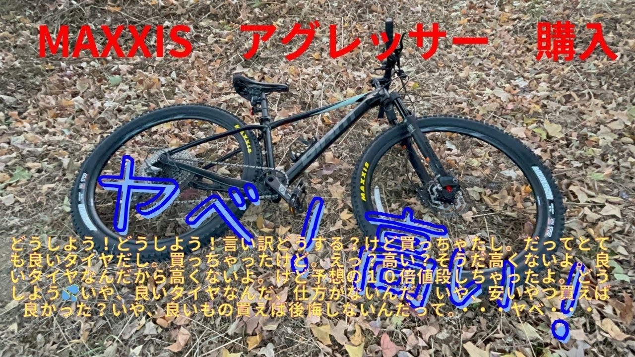 ヤベ高い！((((；ﾟДﾟ)))))))タイヤ交換　マキシス　アグレッサー：素晴らしい！後悔・言い訳・そして・・・