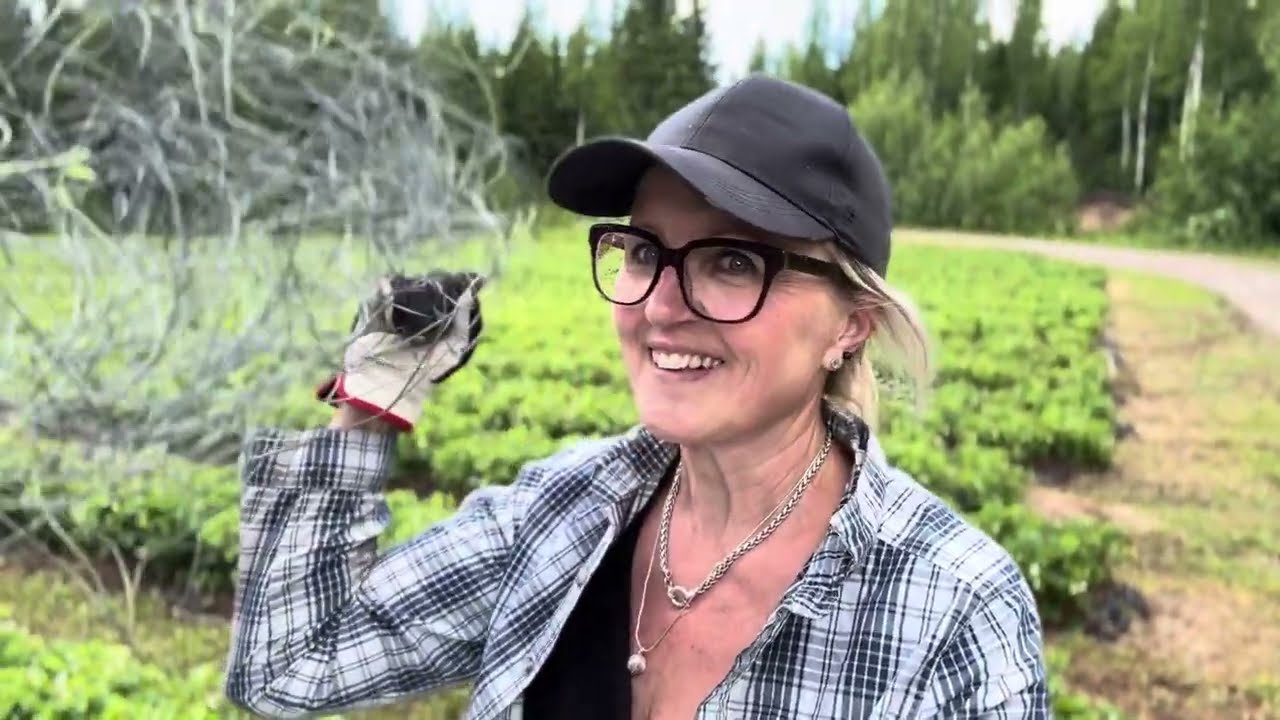 RAKENTAMISTA, DESIGN-VALAISIN, HUUSSI-ASIAA JA NUOHOUSKEIKKA